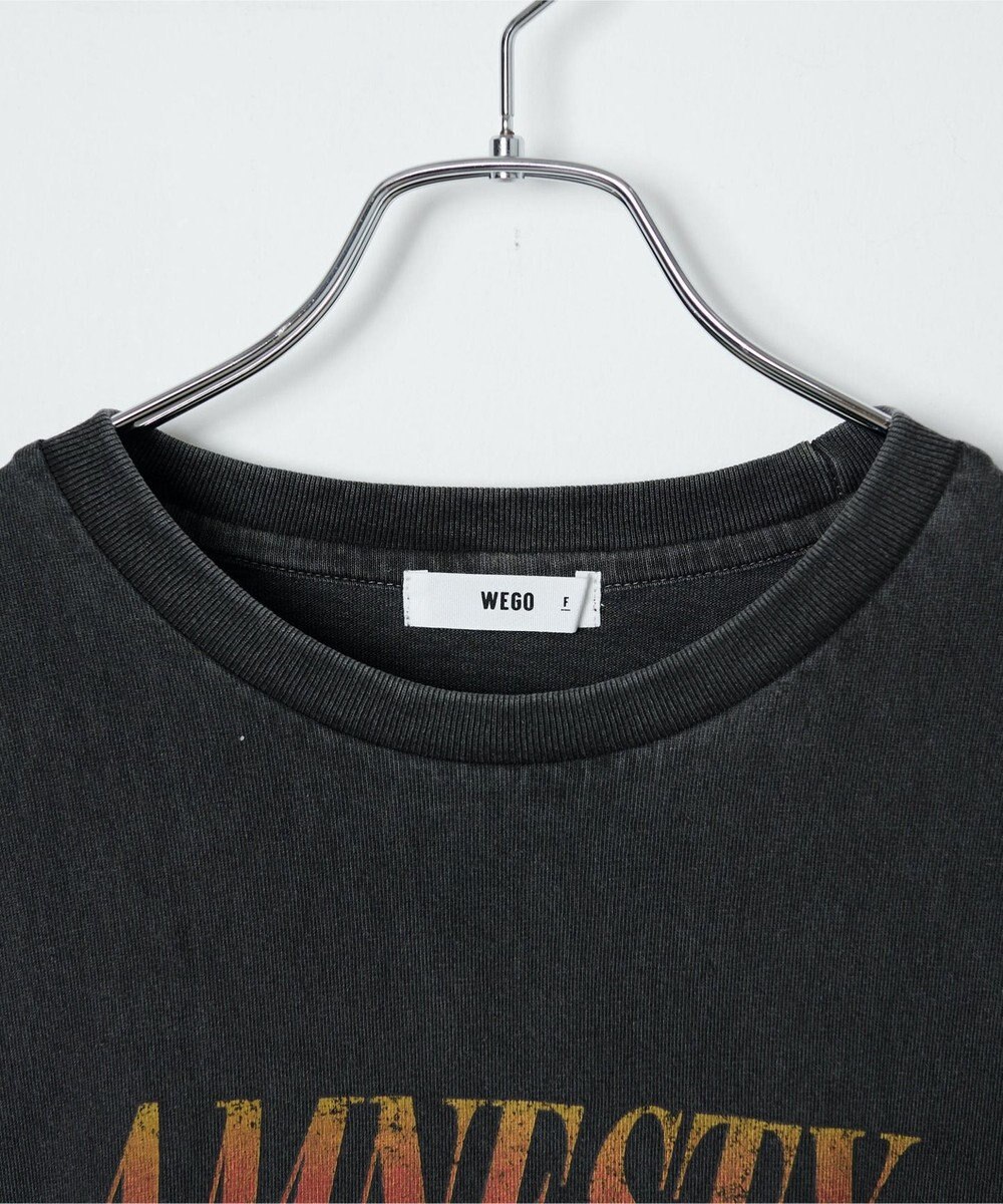 WEGO ピグメントロンT 