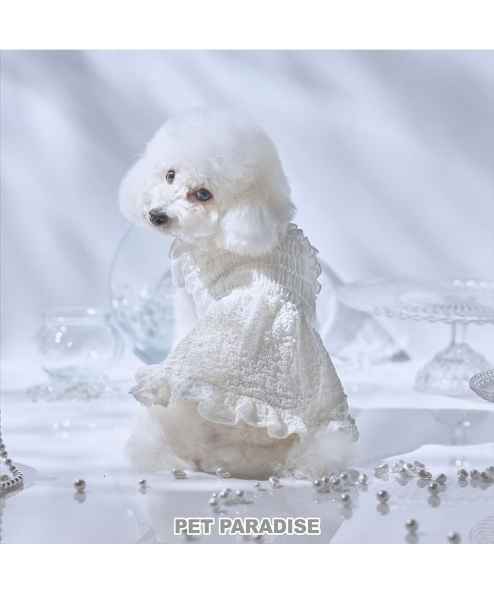 PET PARADISE cherircouture くしゅくしゅ ワンピース 小型犬 