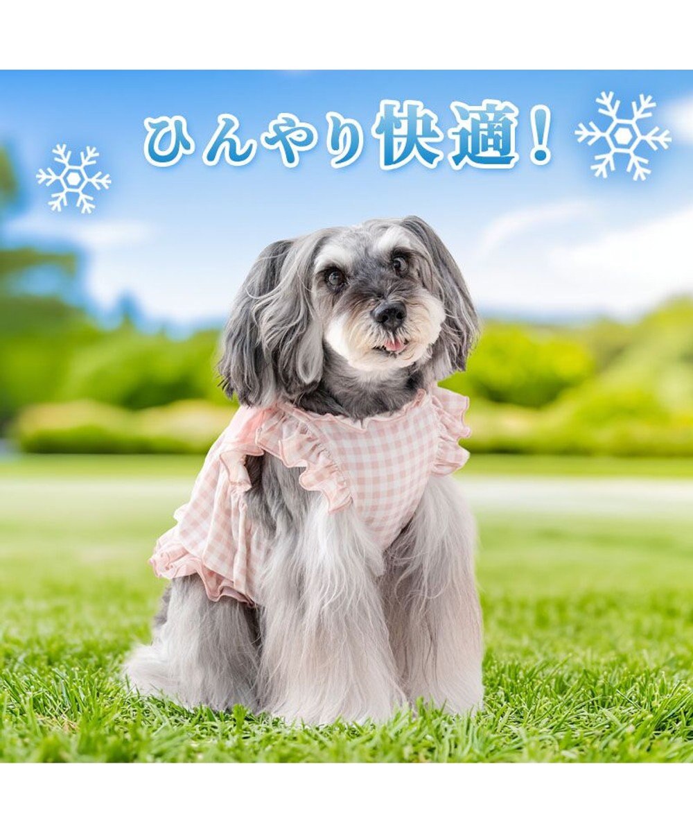 PET PARADISE ディズニー ミニーマウス 背中開き クールキャミソール 小型犬 