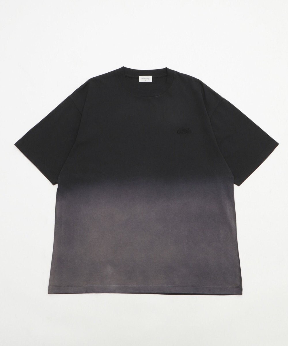 WEGO 【ユニセックス着用ITEM/MLサイズ展開】グラデーションワンポイントT（SS） 