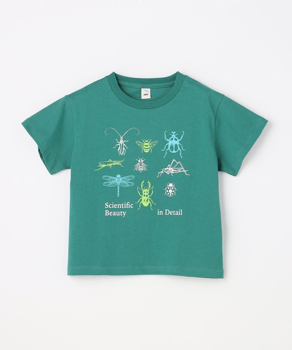 ANY KIDS 【洗濯機可能】昆虫プリント 半袖Tシャツ 