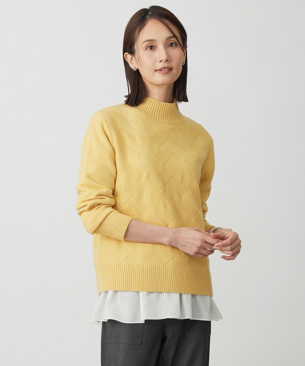 J.PRESS LADIES L 【WEB限定カラーあり】CAT ハイネック ニット 