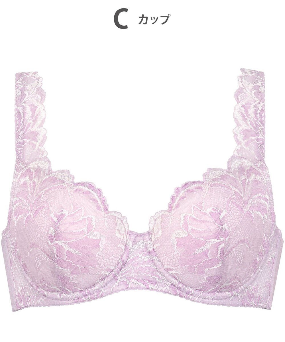 Wing Wing Lesiage 【3000シリーズ】 PB3000 ウイング／ワコール 