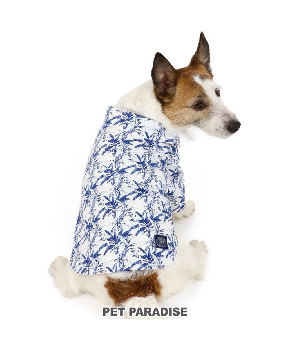 PET PARADISE 犬 服 夏服 J.PRESS リーブス シャツ 〔小型犬〕 青系