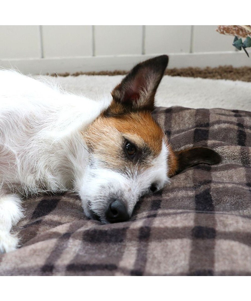 PET PARADISE ペットパラダイス 遠赤外線 ボアマット 《 チェック柄 》 (80×60cm) 