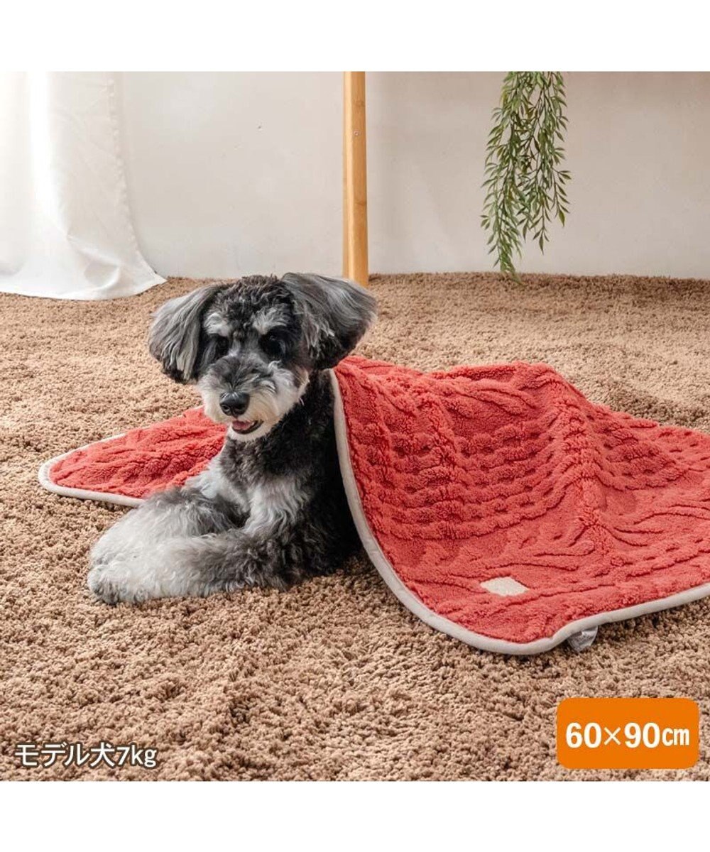 PET PARADISE ペットパラダイス アランボア ブランケット 