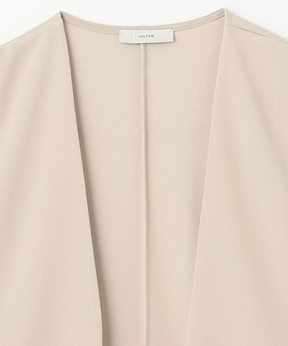 ANY 【洗濯機可】カットジョーゼットジレ 