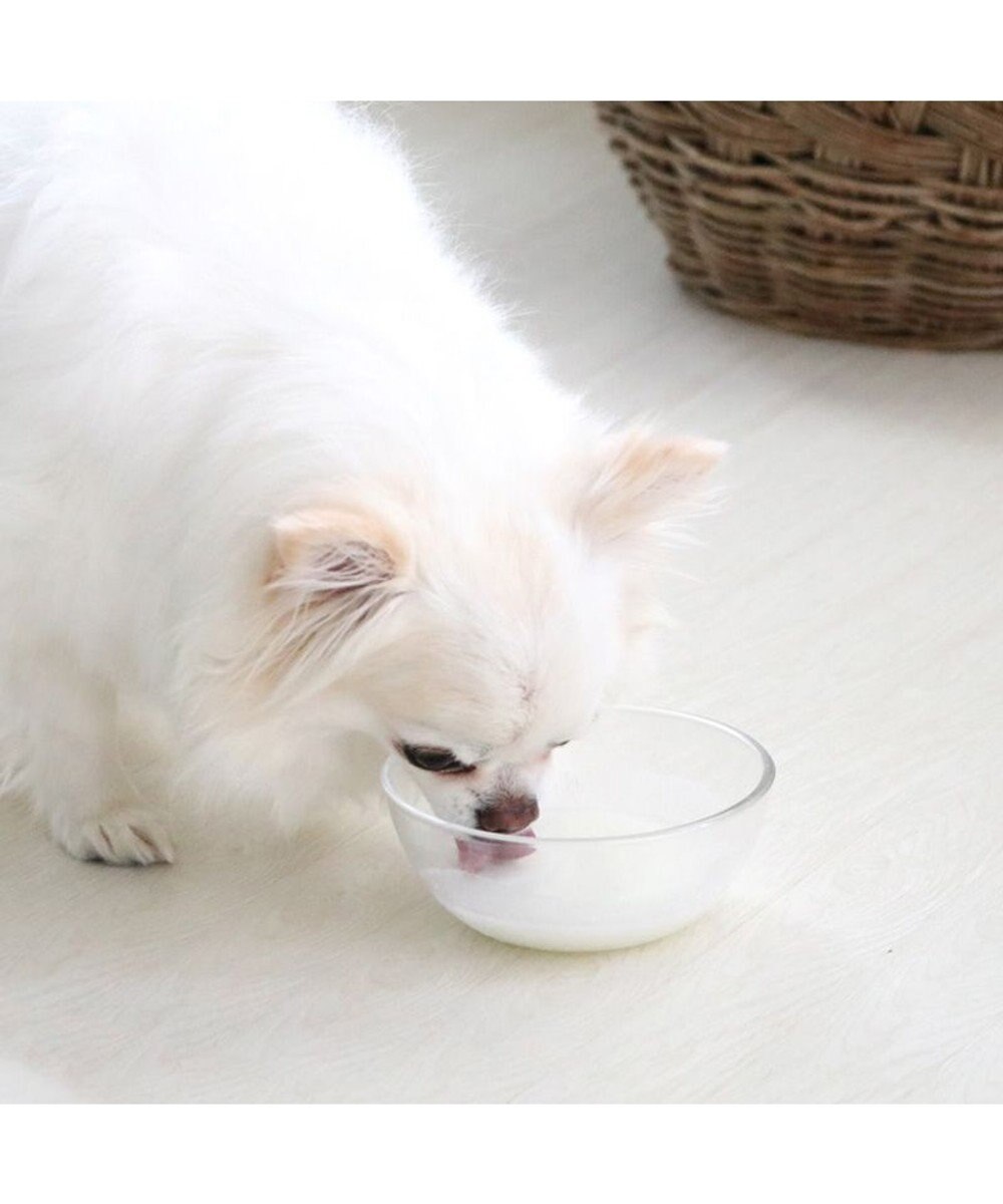 PET PARADISE ペットパラダイス ペット用 ヤギミルク オランダ産 