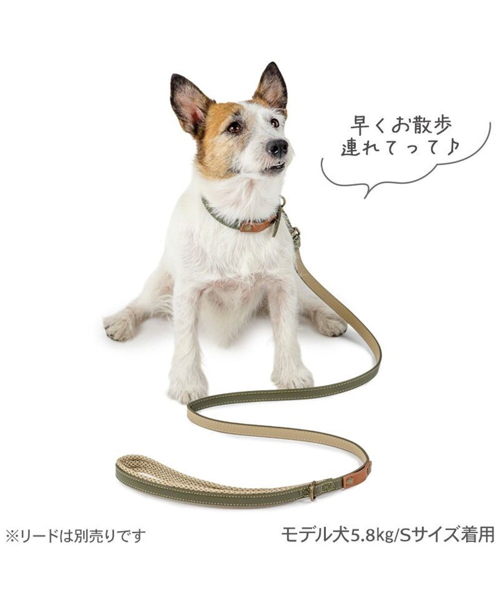 PET PARADISE ペットパラダイス 合皮 首輪 《カーキ》 小型犬 ３S 