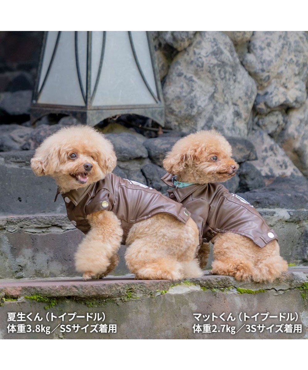 J.PRESS フェイクレザー ジャケット 小型犬 / PET PARADISE