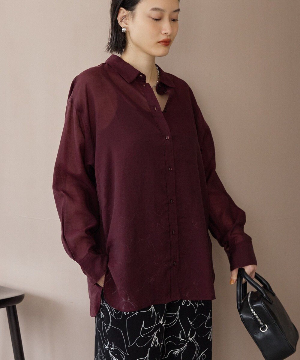 AMERICAN HOLIC ラスターシアーシャツ 