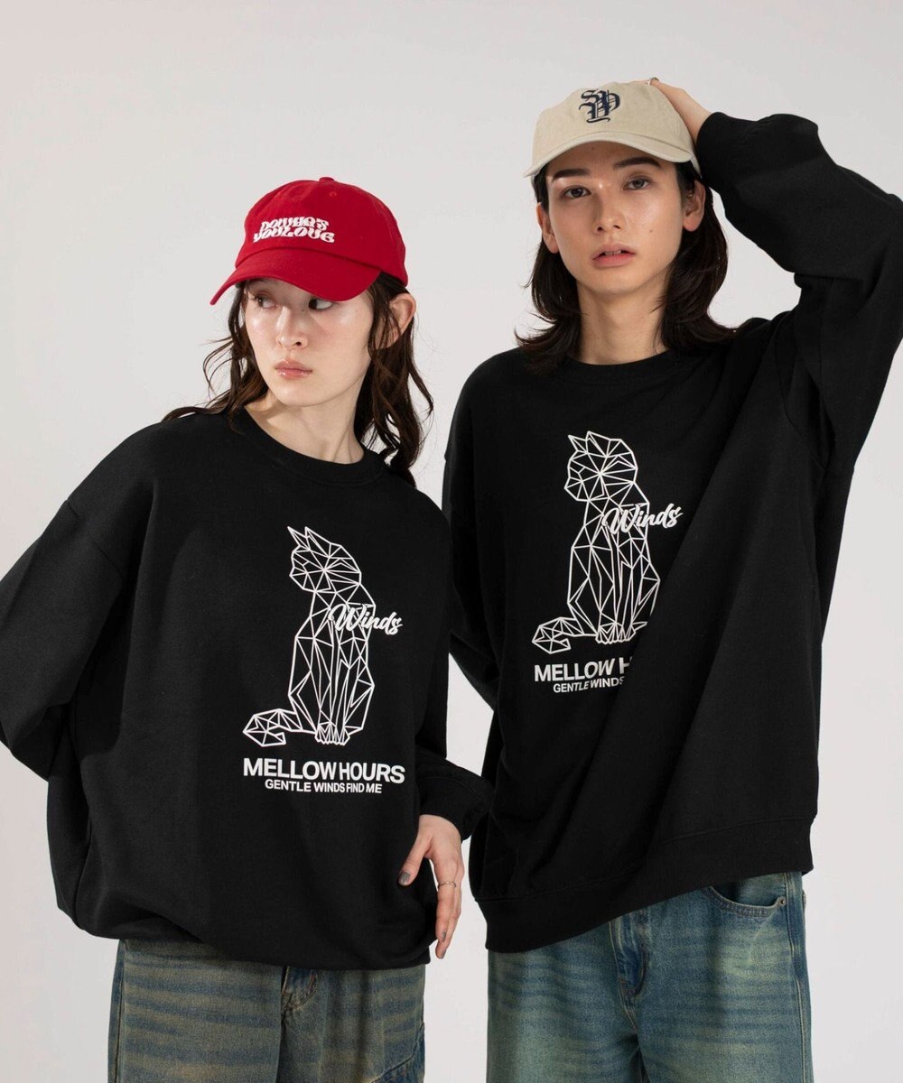 WEGO 【2025年秋冬新作/SMLXLサイズ展開/ユニセックス着用ITEM】アソートグラフィックプルオーバー 