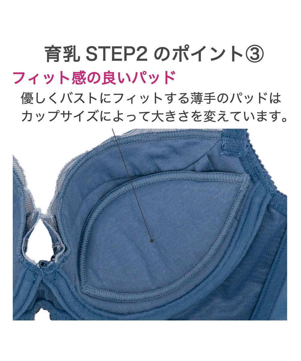 BRADELIS New York 【BRADELIS New York / 育乳補整ブラ・STEP2 寄せる】ローズステップ2ブラ24S1 脇高設計でスッキリ補正 
