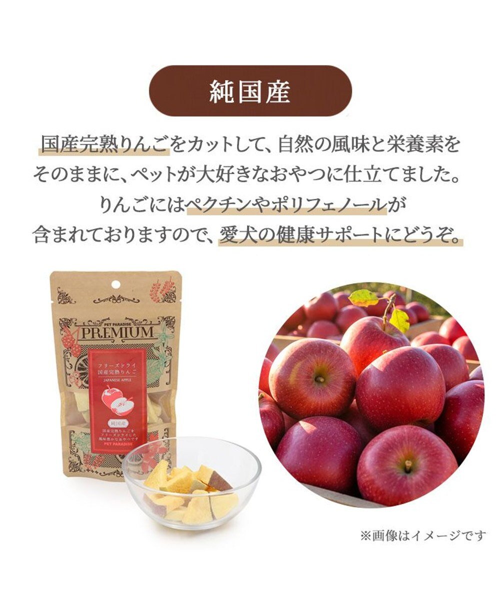 PET PARADISE フリーズドライ 国産 完熟 ふじ りんご 