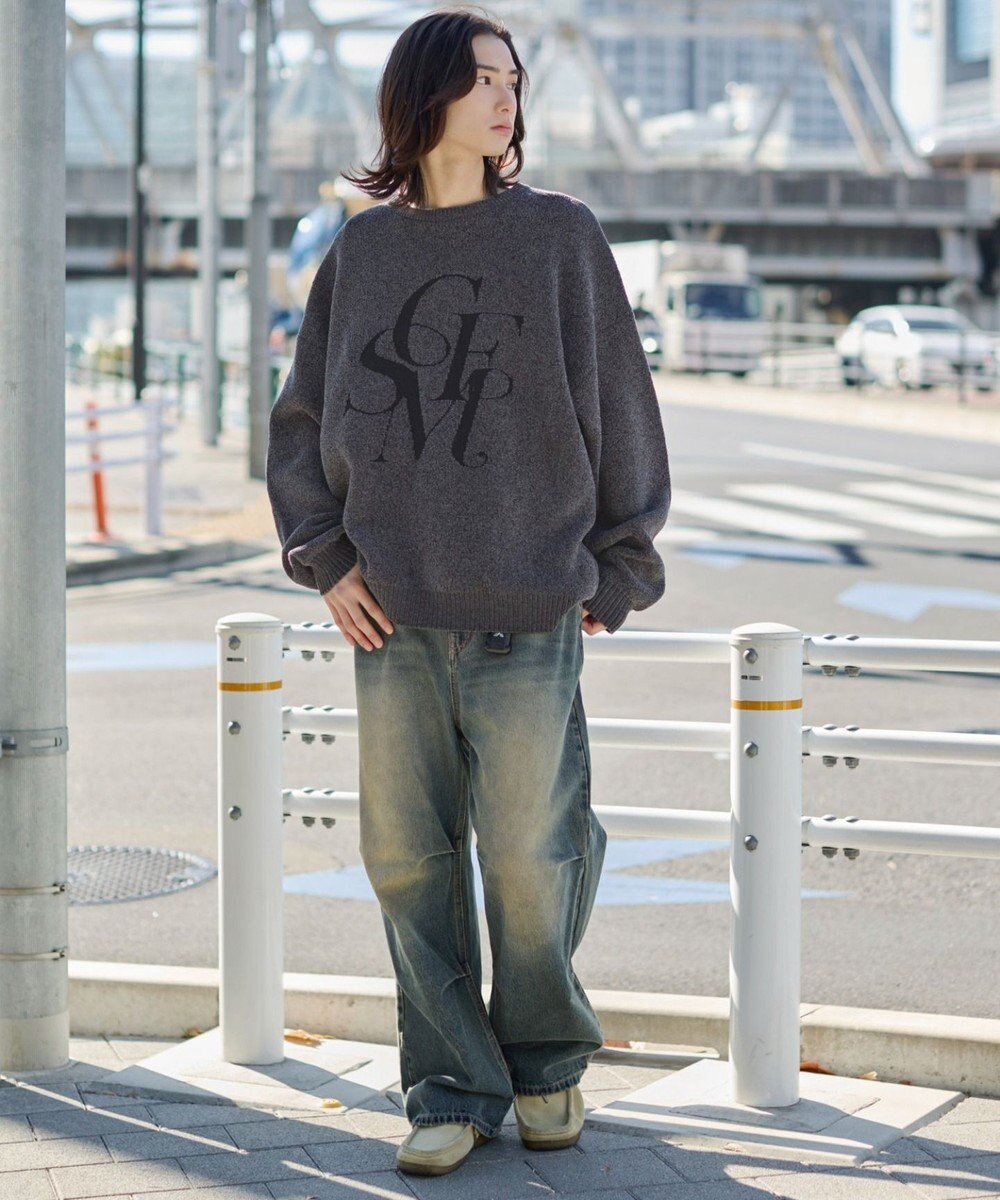 WEGO 【ユニセックス着用ITEM】ベロアモールグラフィックプルオーバー 