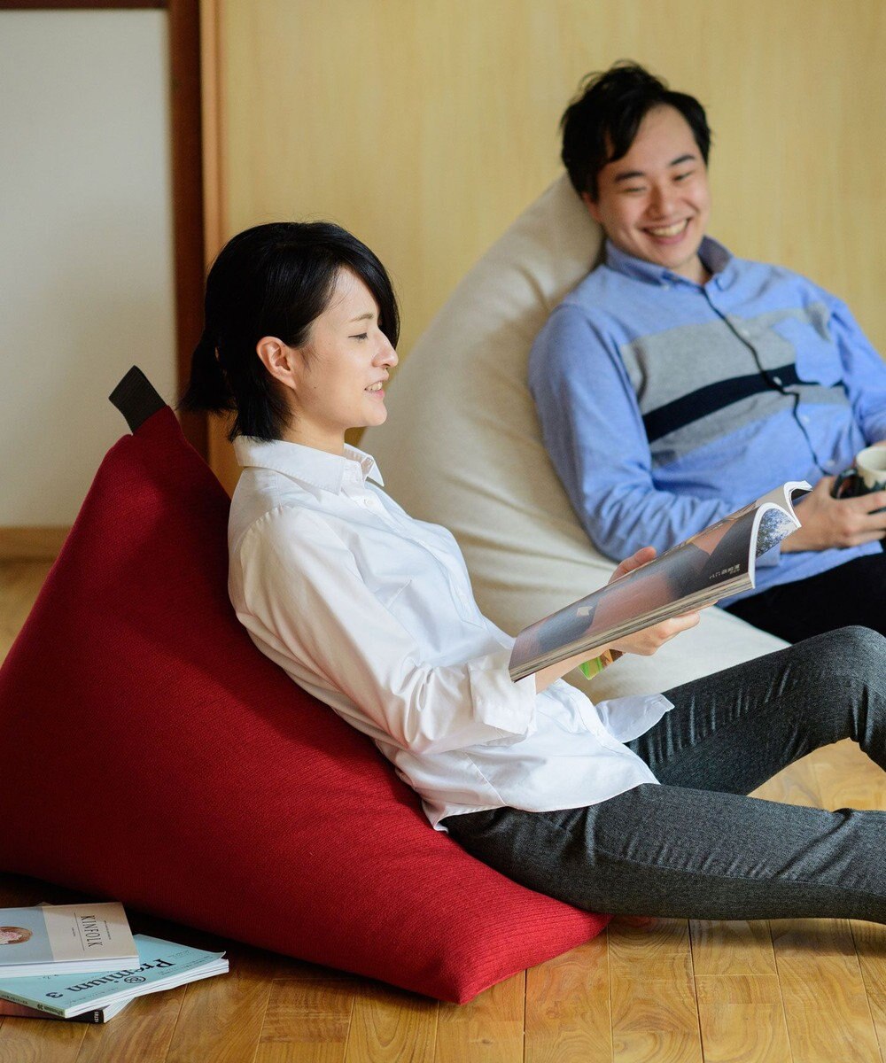 ビーズクッション tetra 高耐久性でペットも安心 tetra LEON（レオン）ビーズクッション 