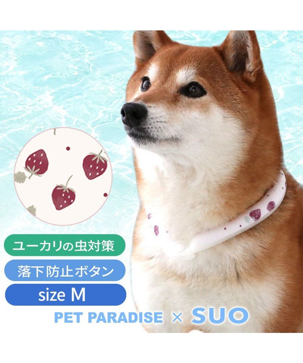 PET PARADISE ペットパラダイス 28℃クールリング 《いちご》 Ｍ 大型犬 