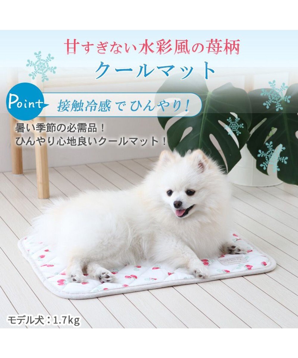 PET PARADISE 犬 クール マット 冷感 柔らか クールマット (48×40cm) 苺 くまちゃん ネイティブ 接触冷感 ひんやり ペット 