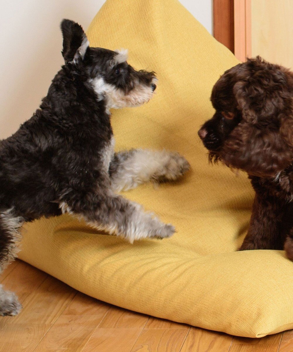 ビーズクッション tetra 高耐久性でペットも安心 tetra LEON（レオン）ビーズクッション 