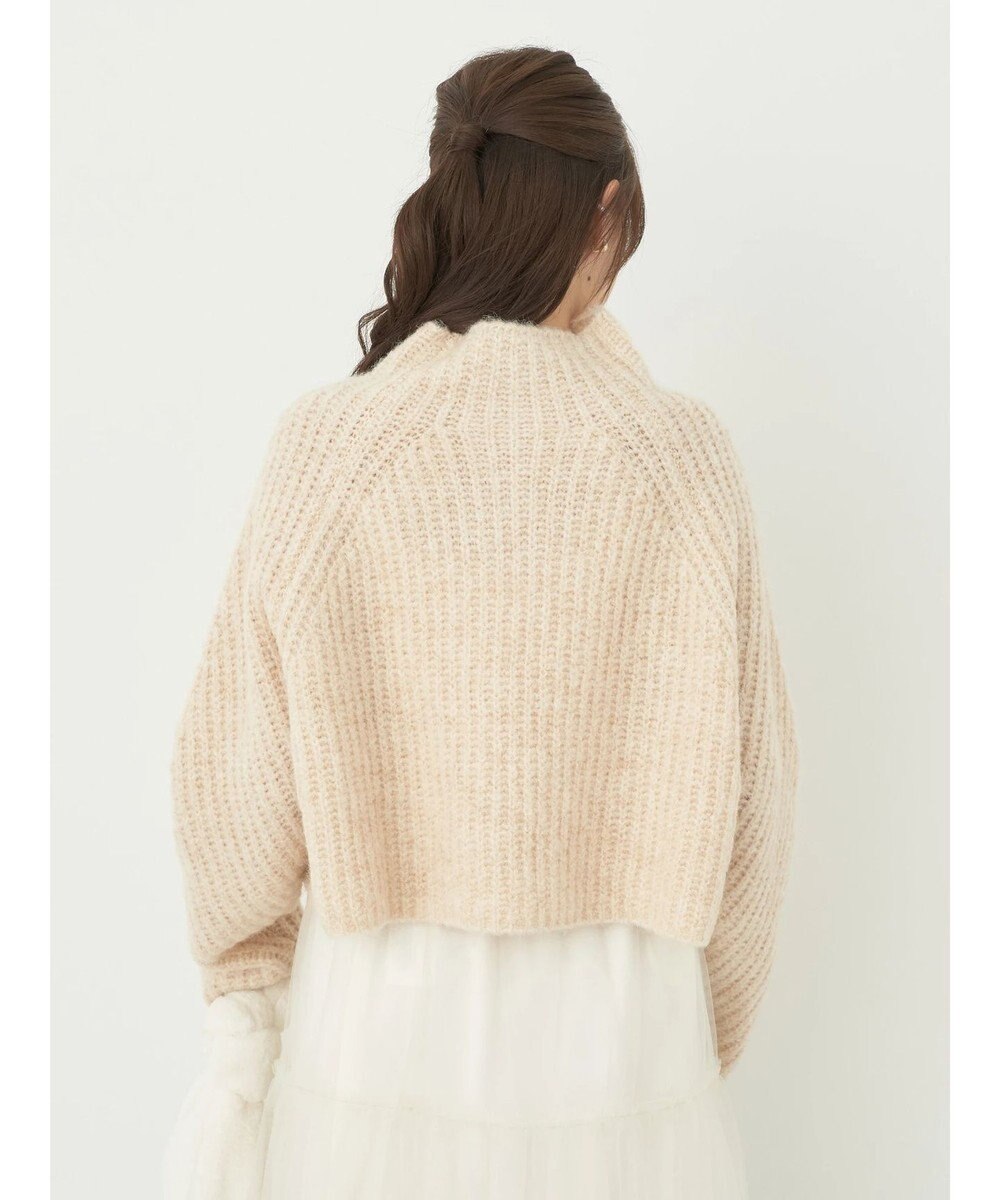 earth music&ecology フワフワＭＩＸハイネックショートニット 