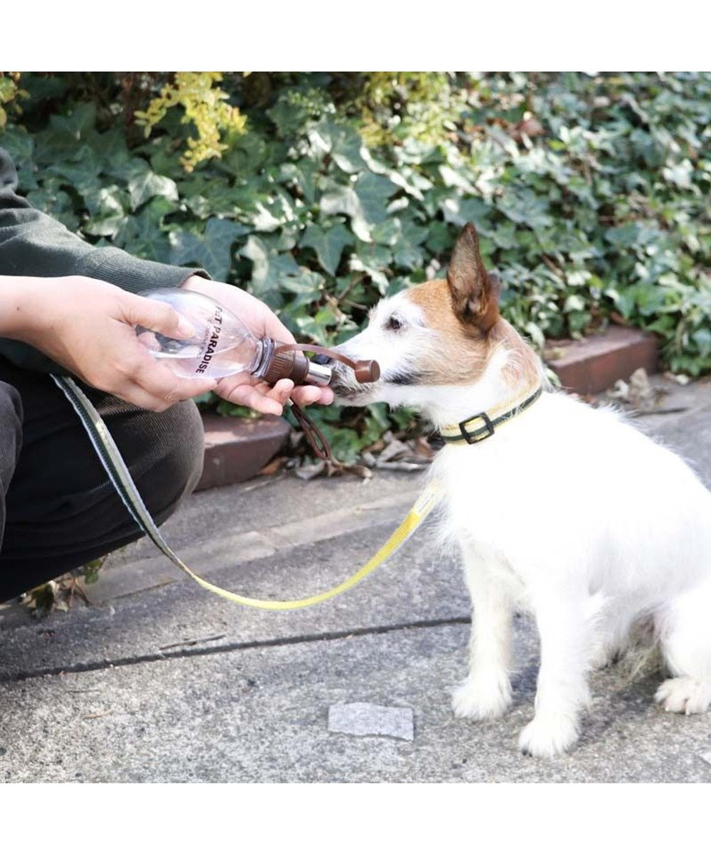 PET PARADISE 犬用品 ペットグッズ お散歩  お水携帯ボトル（茶）220ｍＬ 