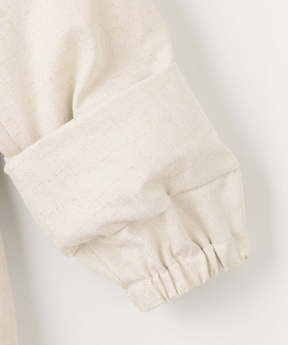 自由区 【カタログ掲載・Premium Collection】シャイニージャガード ダウンコート 