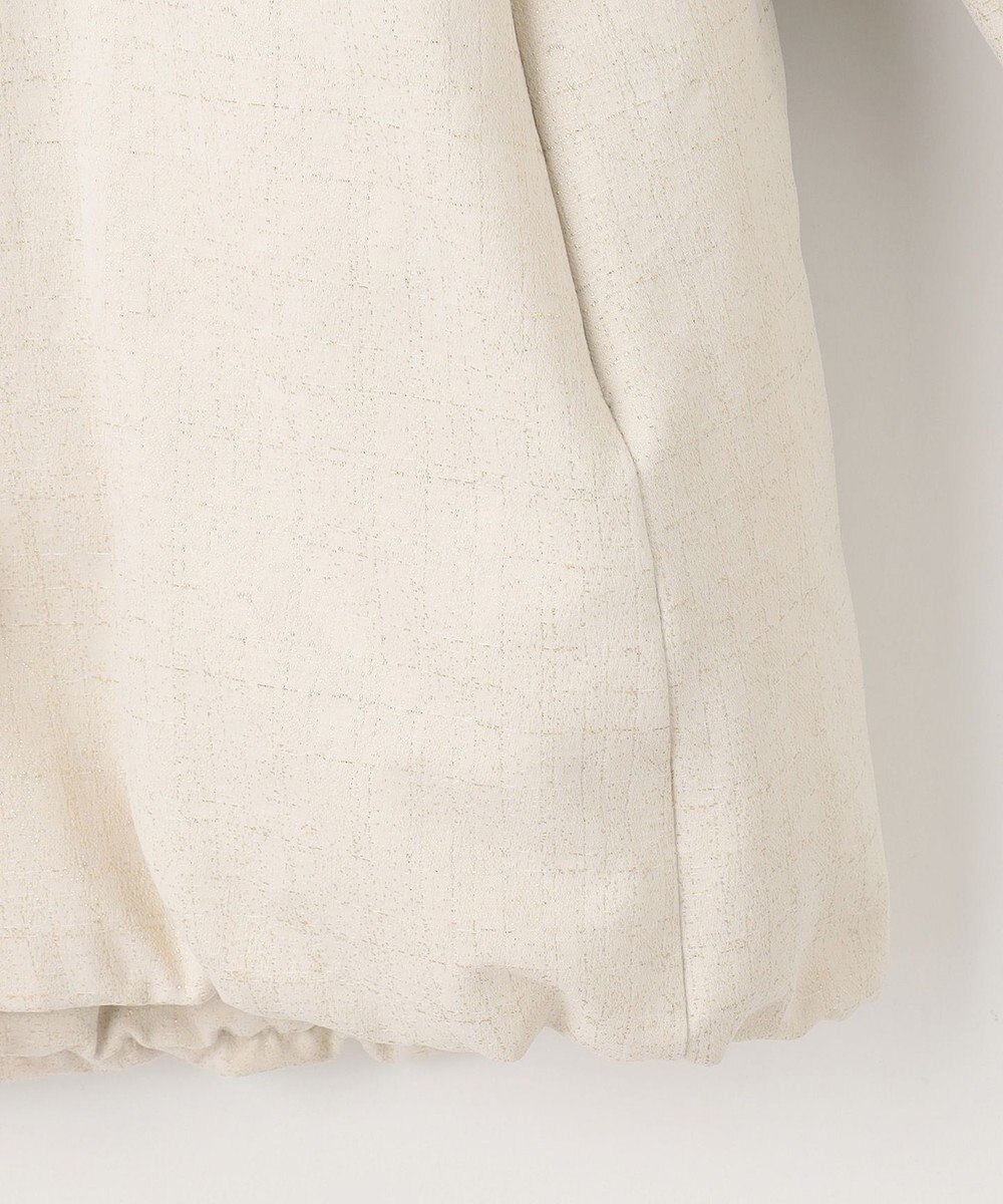 自由区 【カタログ掲載・Premium Collection】シャイニージャガード ダウンコート 