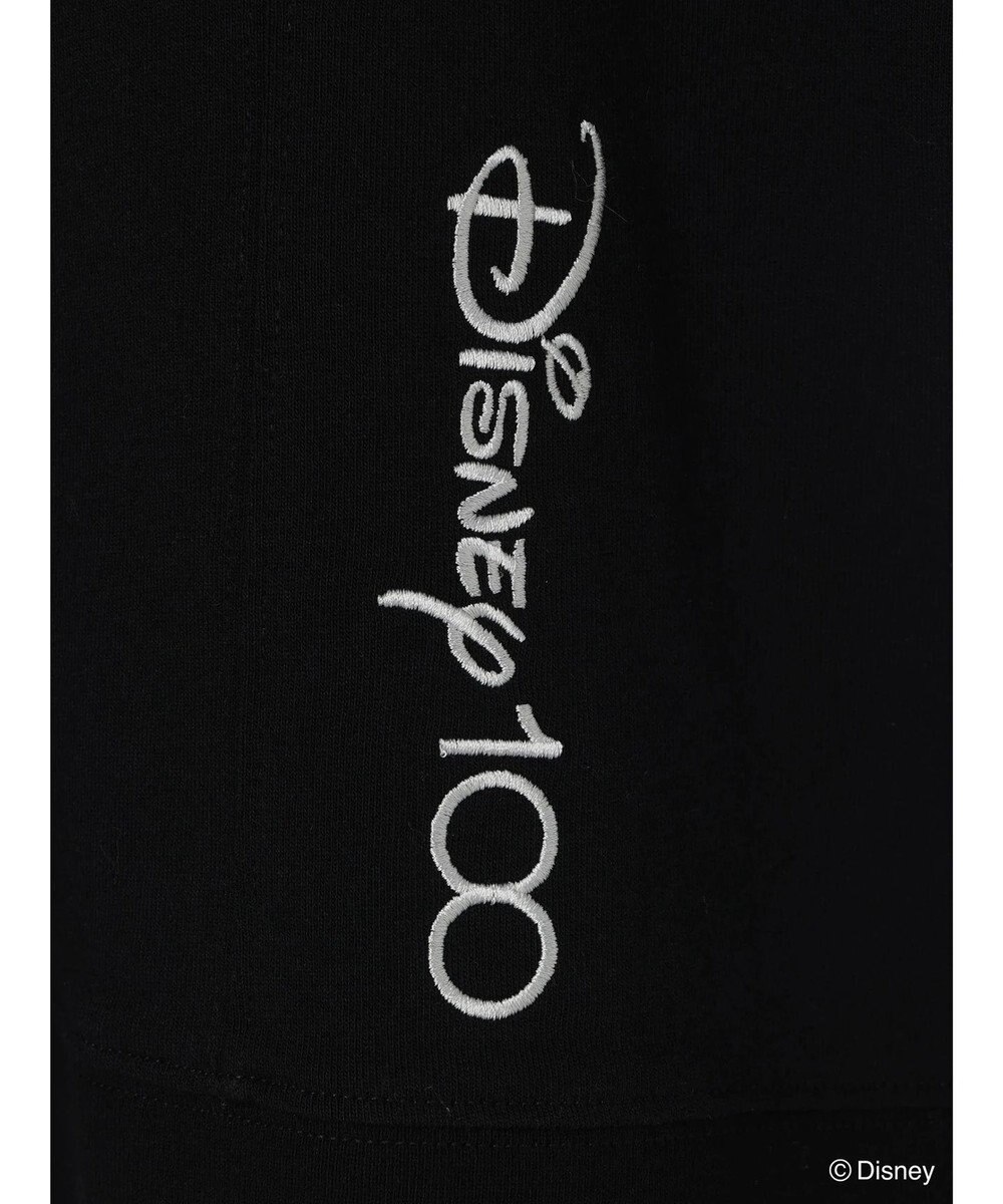 Green Parks Ｄｉｓｎｅｙ１００　ライオンキング／Ｔシャツ 