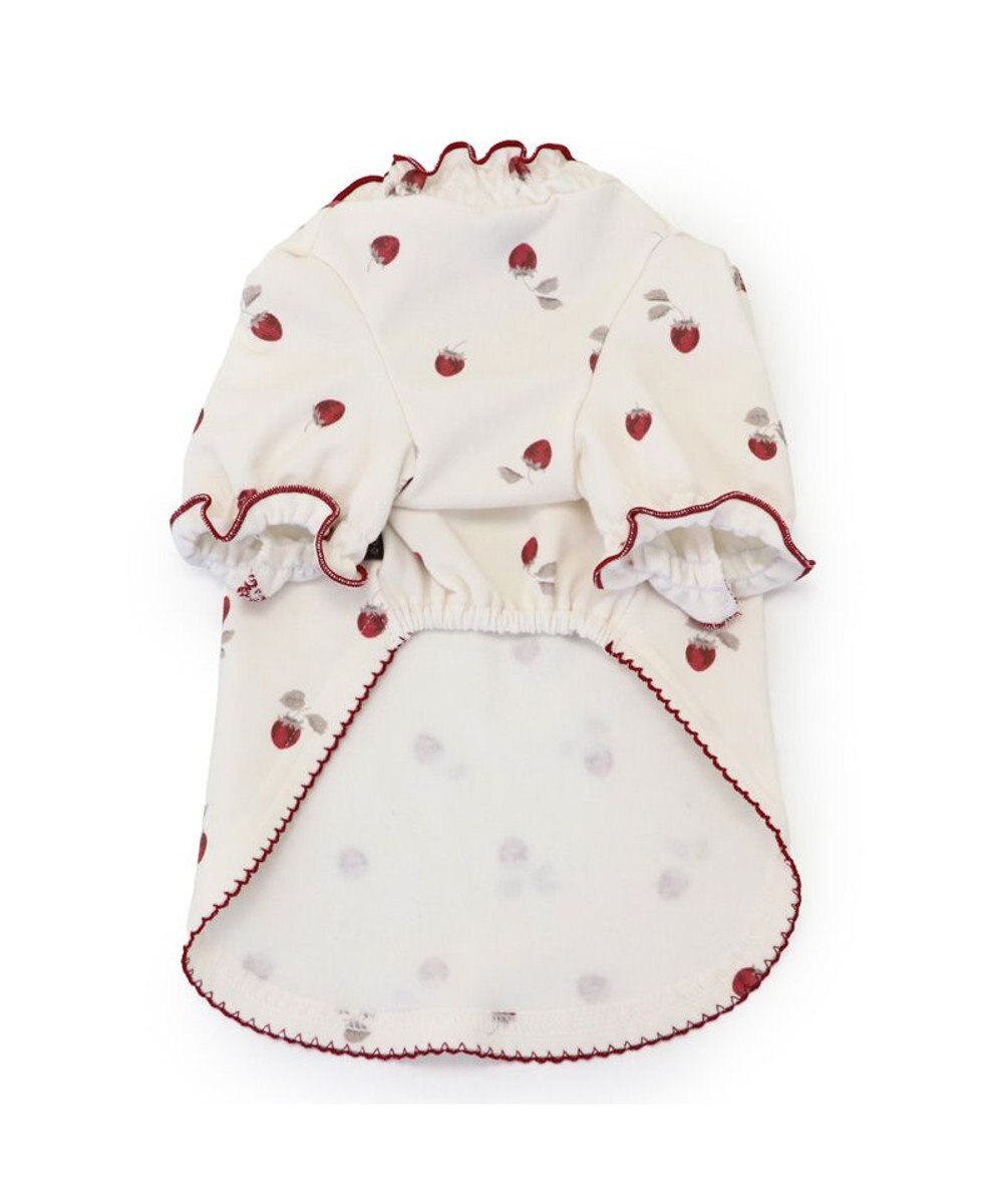 PET PARADISE ペットパラダイス ペティヒート Tシャツ 《苺柄》 中型犬 大型犬 