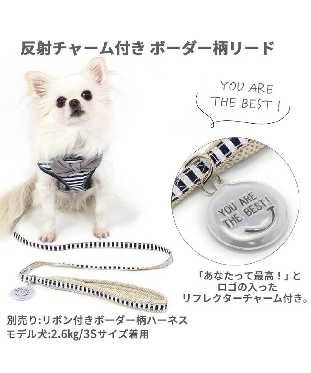 PET PARADISE 犬 リード 【ＳＳ~Ｓ】 ボーダー 