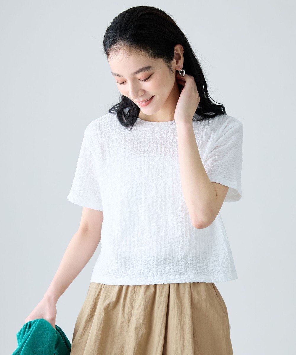 ANY L レースショート丈Tシャツ 