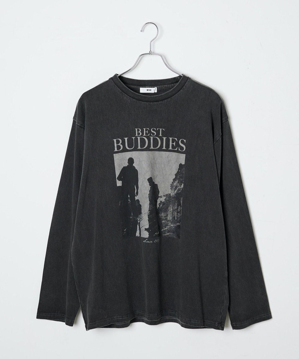 WEGO ピグメントロンT 