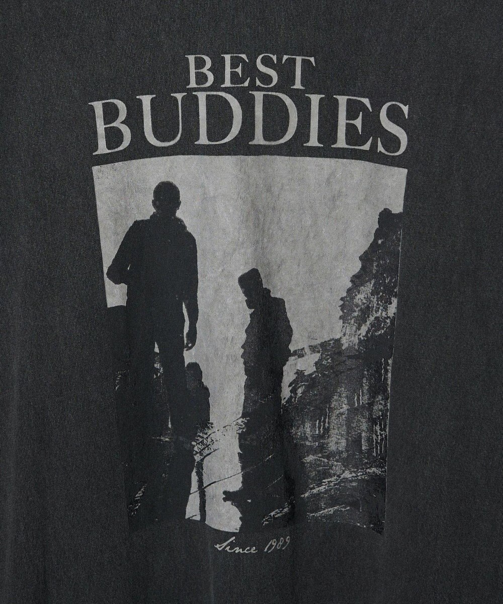 WEGO ピグメントロンT 