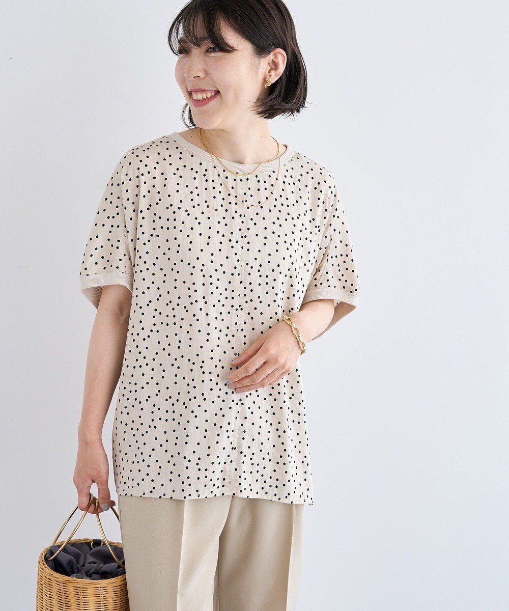 Green Parks Ｔブラウスドルマンスリーブプルオーバー 