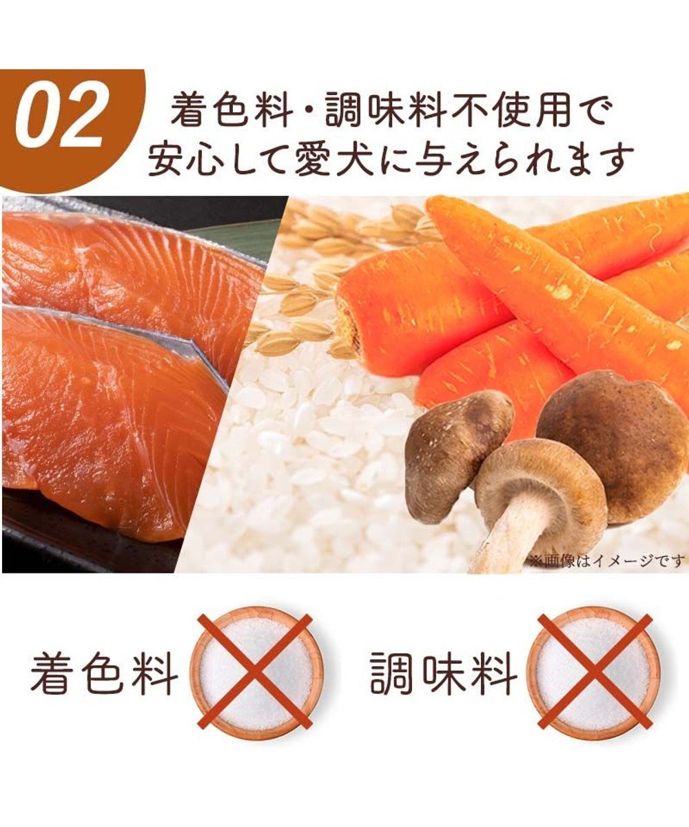 PET PARADISE 愛犬にやさしい スープごはん 鮭 