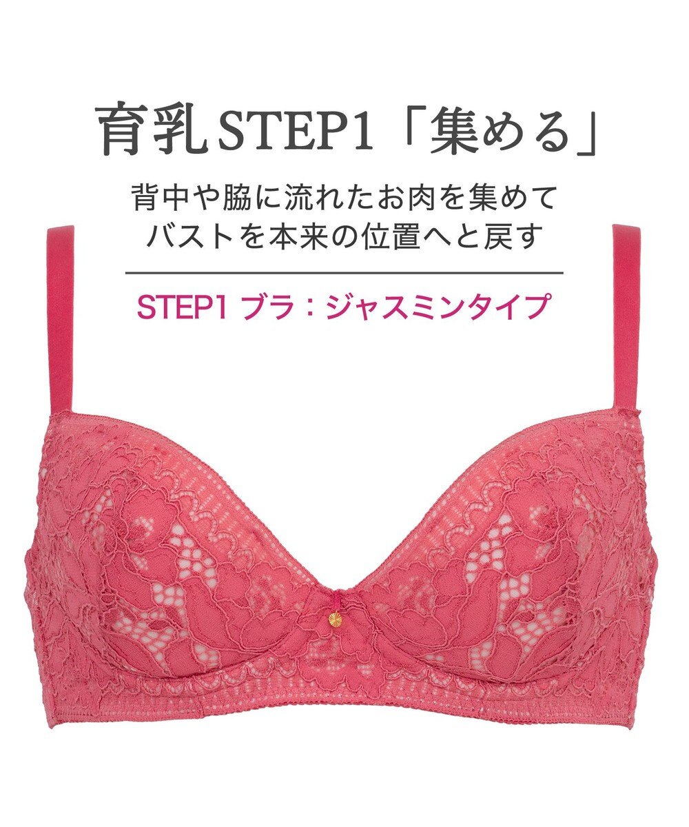 BRADELIS New York 【BRADELIS New York / 育乳補整ブラ・STEP1 集める】ジャスミンステップ1ブラ26S1 