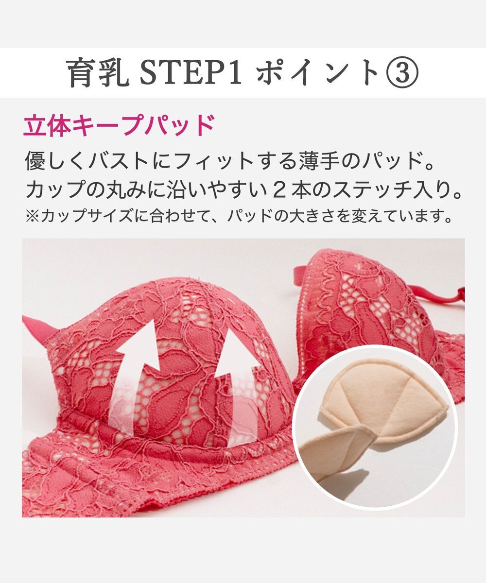 BRADELIS New York 【BRADELIS New York / 育乳補整ブラ・STEP1 集める】ジャスミンステップ1ブラ26S1 
