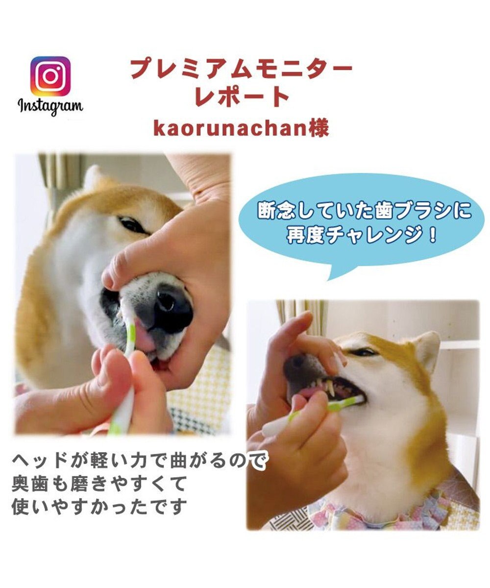 犬 歯ブラシ 曲がる 歯ブラシ ６本セット 送料無料 全犬種対応 犬用歯ブラシ 猫用 ペット用 歯みがき はぶらし ハブラシ 犬 口 ケア 猫 口 ケア Pet Paradise ファッション通販 公式通販 オンワード クローゼット