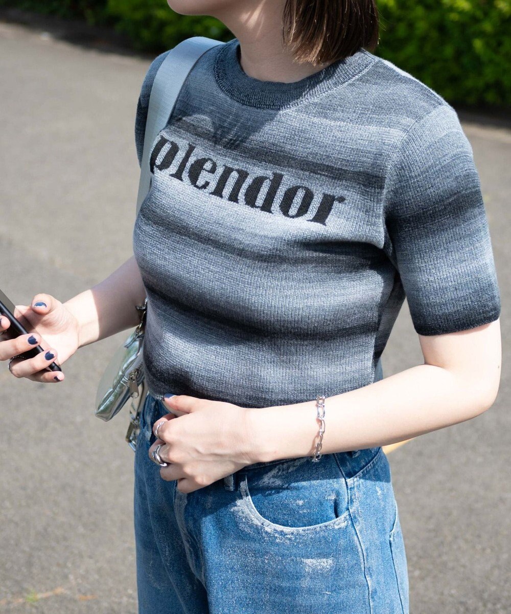 WEGO グラデーションちびニットT 