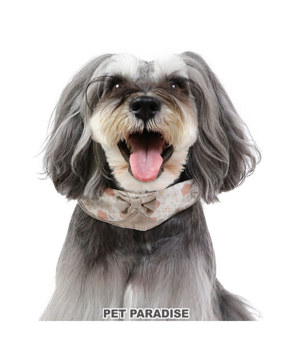 PET PARADISE 花柄 襟付首輪 【３Ｓ】 小型犬 茶系