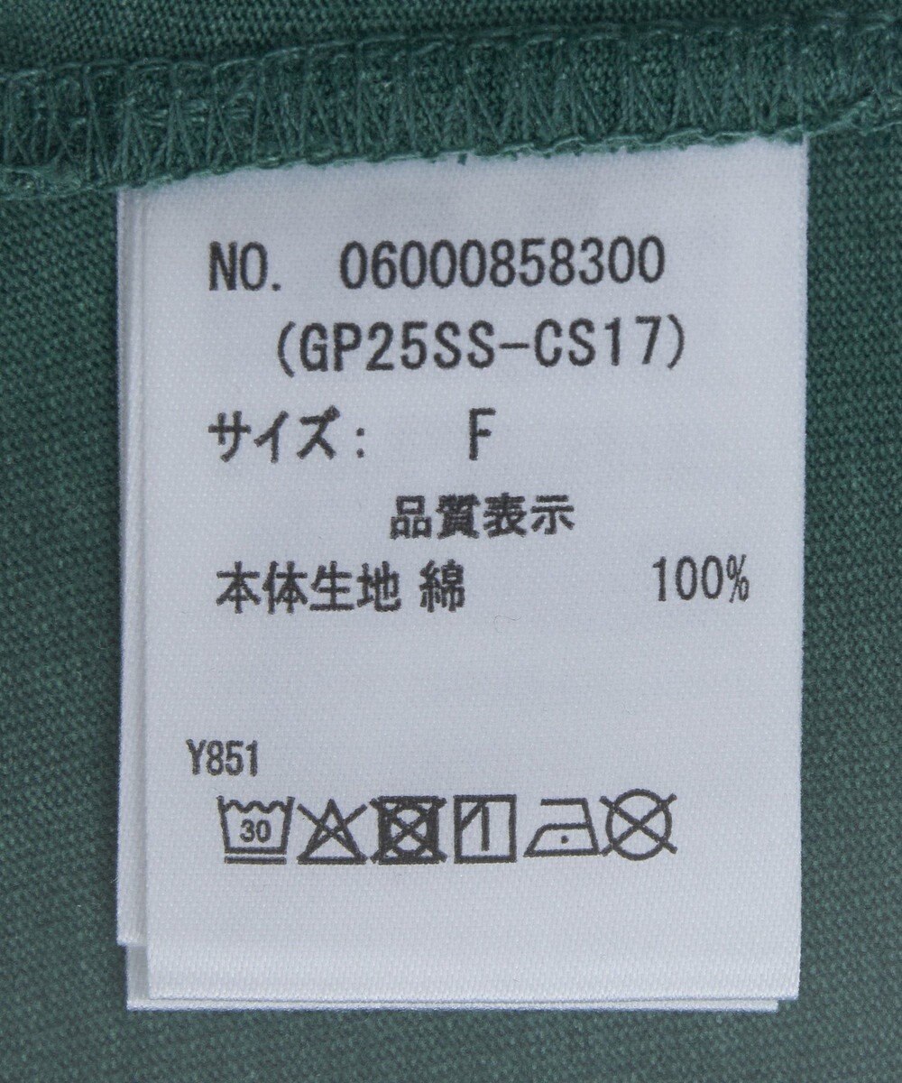 Green Parks ・ＤＯＵＢＬＥ　ＦＬＡＧＳ　ピグメント切替ノースリ 