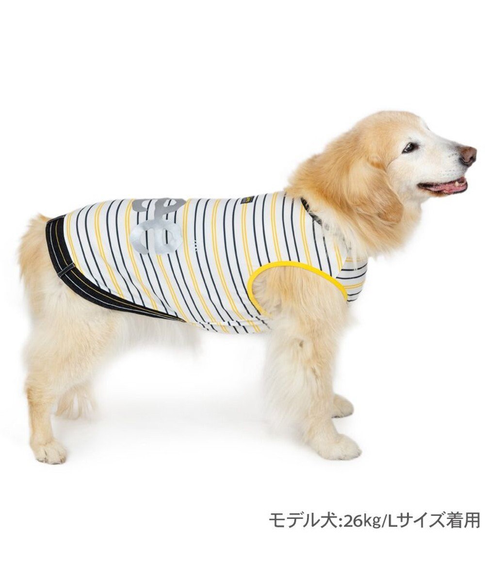 PET PARADISE Lee エコメイド 彩ボーダー タンクトップ 中型犬 大型犬 
