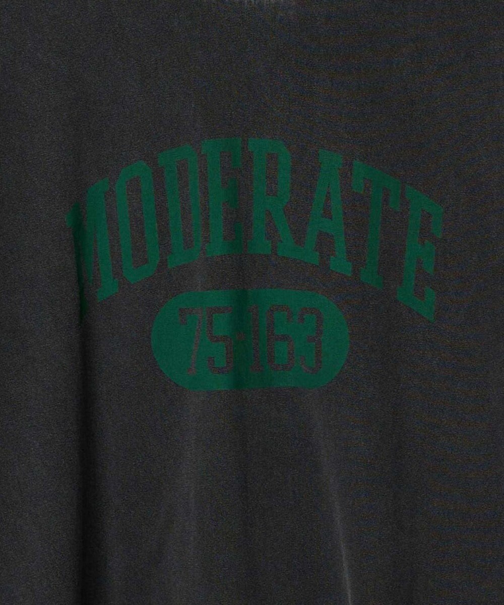 WEGO ピグメントロンT 