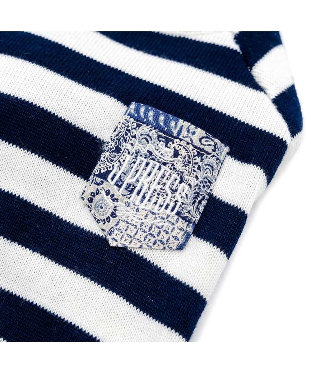 PET PARADISE J.PRESS ボーダー綿ニット 小型犬 