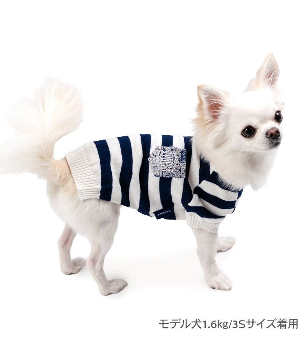 PET PARADISE J.PRESS ボーダー綿ニット 小型犬 