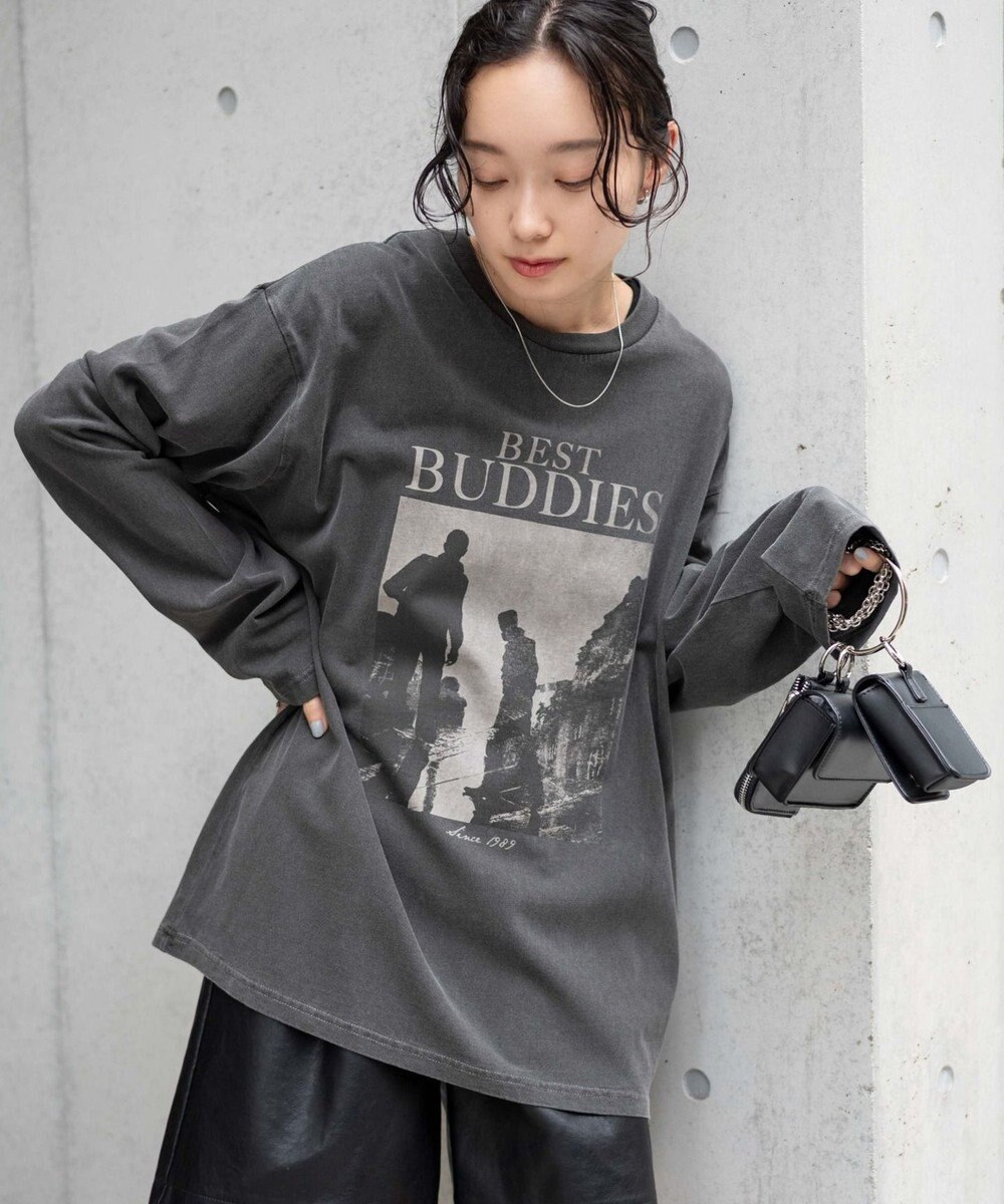 WEGO ピグメントロンT 