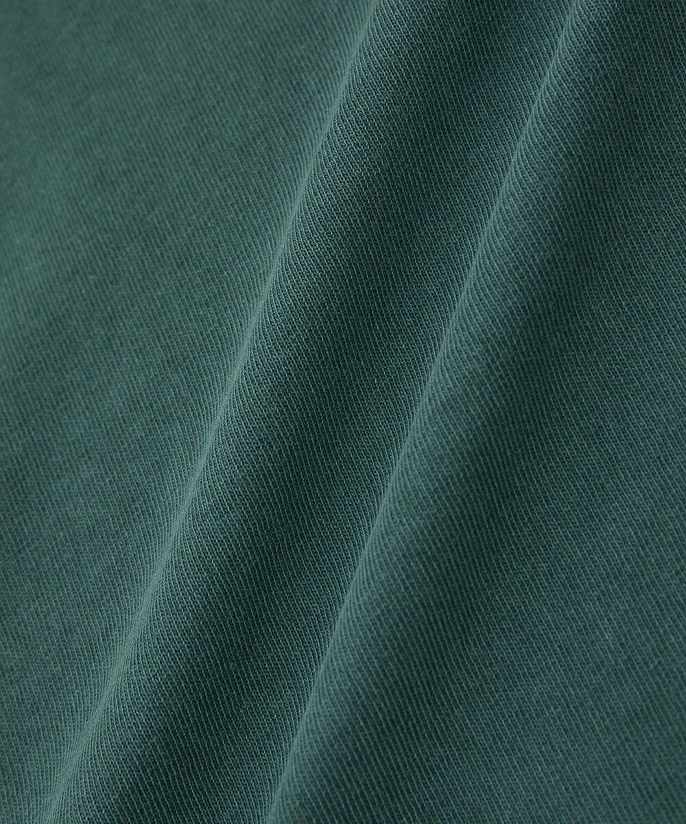 Green Parks ・ＤＯＵＢＬＥ　ＦＬＡＧＳ　ピグメント切替ノースリ 