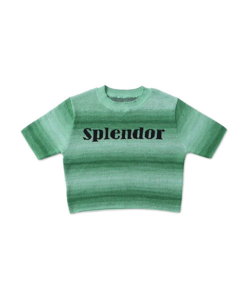 WEGO グラデーションちびニットT 