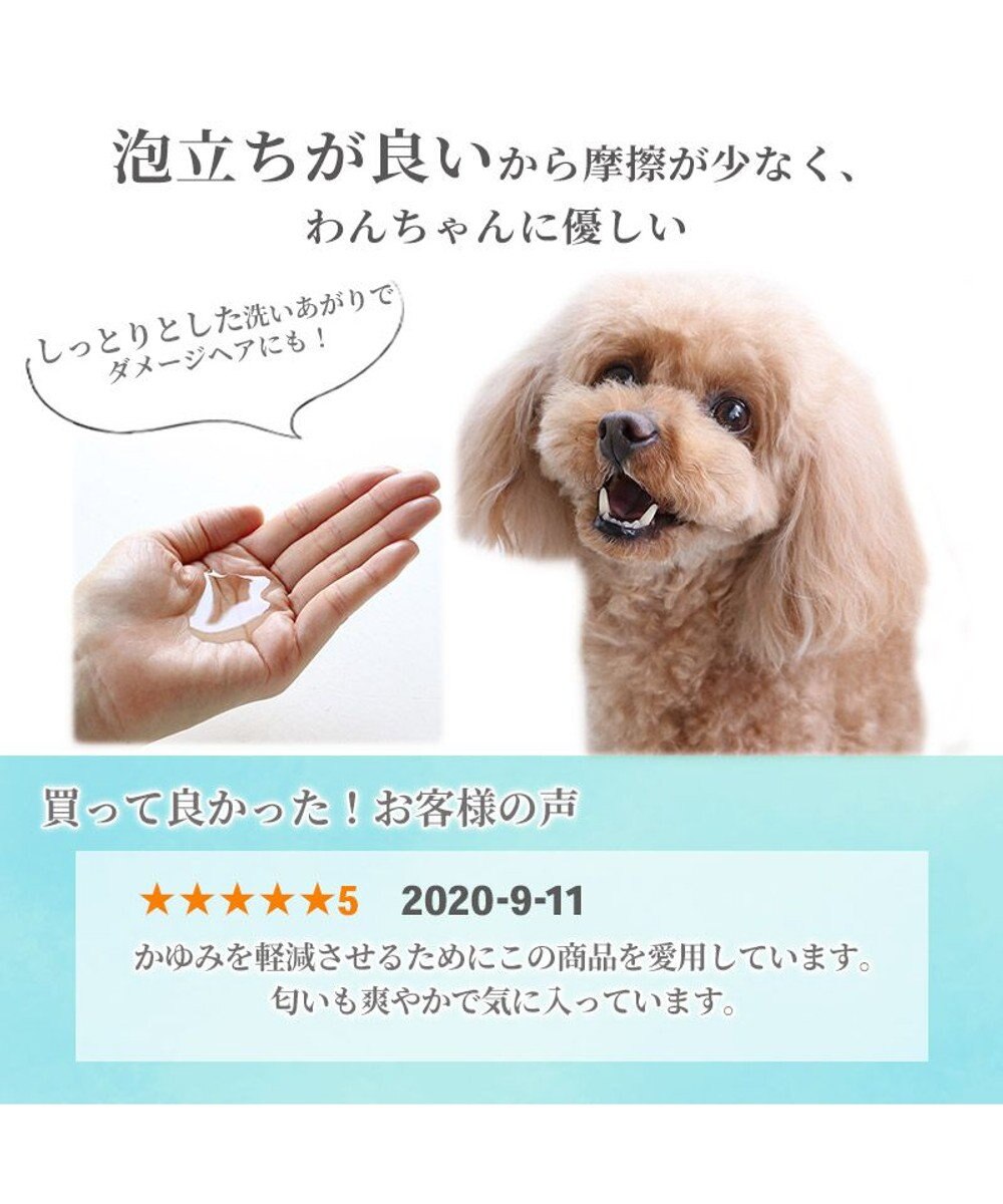 PET PARADISE ペットパラダイス  薬用 イオウ シャンプー 300ｍＬ  国産 