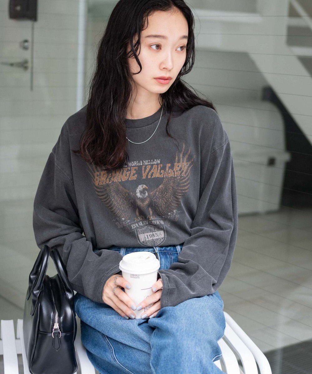 WEGO ピグメントロンT 